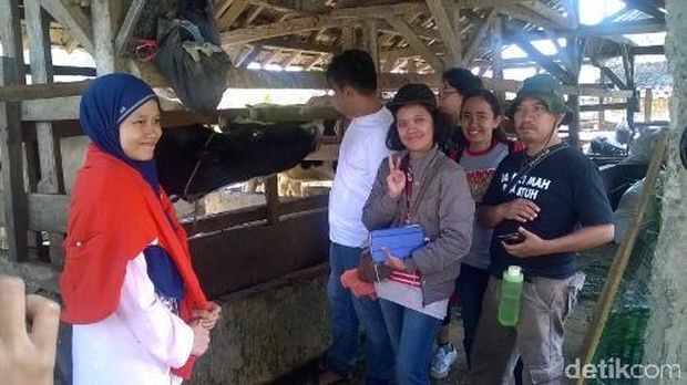 (Bona/detikTravel)