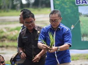 Kunjungi Sawah di Sumbar, Ketua MPR: Pertanian Harus Ditunjang Teknologi