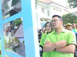 Soal Larangan Styrofoam, Ridwan Kamil: Ganti Pakai Daung Pisang