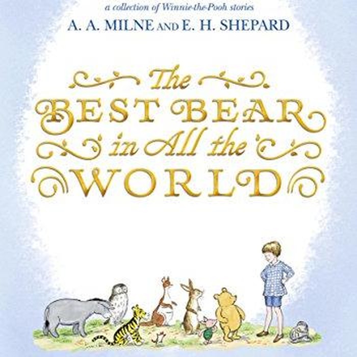 Buku Best Bear in all the World