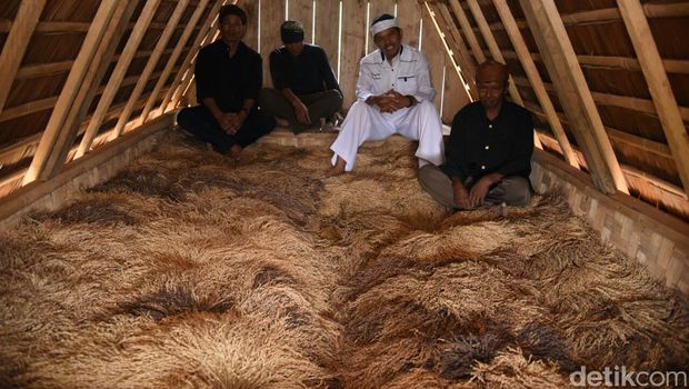 Foto: Tri Ispranoto/detikcom