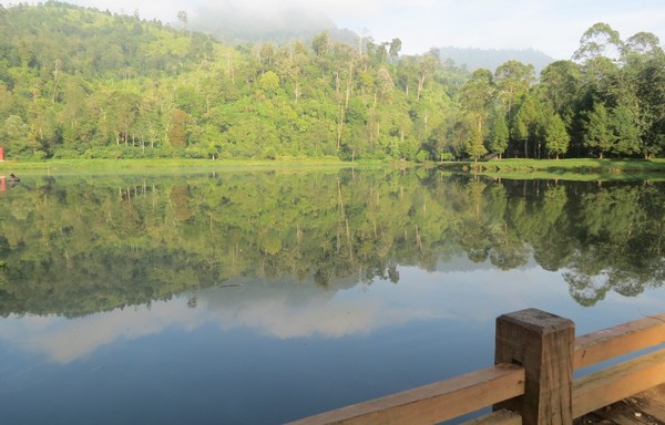 Paling enak menikmati Situ Cisanti adalah pagi hari. Jadi kamu bisa berangkat dari Kota Bandung selepas subuh, agar tidak kesiangan (Fitraya Ramadhanny/detikTravel) Paling enak menikmati Situ Cisanti adalah pagi hari. Jadi kamu bisa berangkat dari Kota Bandung selepas subuh, agar tidak kesiangan (Fitraya Ramadhanny/detikTravel)