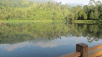 Paling enak menikmati Situ Cisanti adalah pagi hari. Jadi kamu bisa berangkat dari Kota Bandung selepas subuh, agar tidak kesiangan (Fitraya Ramadhanny/detikTravel)