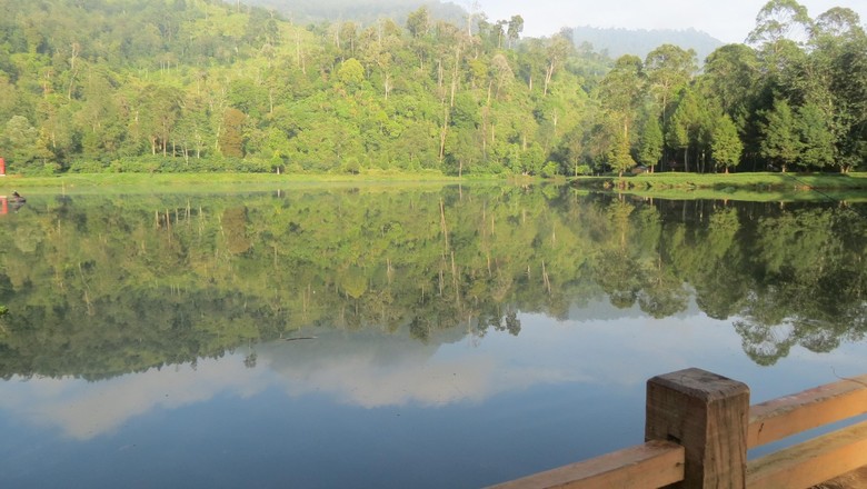 Cantiknya Situ Cisanti yang didatangi Jokowi (Fitraya/detikTravel) Cantiknya Situ Cisanti yang didatangi Jokowi (Fitraya/detikTravel)
