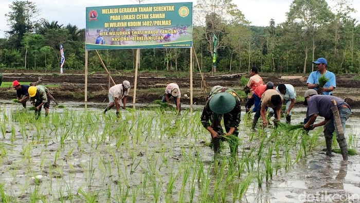 Lahan Pertanian di Jawa Timur Berkurang 1.100 Hektar