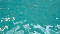 Foto: Kalau diperhatikan, di dasar kanal banyak terdapat uang yang tergeletak. Tak hanya koin, uang kertas pun ada banyak di sana. Kabarnya, kalau melempar uang ke kanal permintaan bisa terkabul (Kurnia/detikTravel)