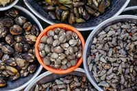 Ini 5 Makanan Alami yang Bisa Jadi Pengganti Suplemen Vitamin
