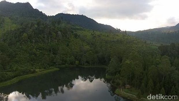 Pemandangan pepohonan rindang (Okta/detikTravel)