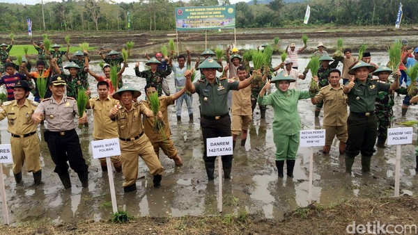 Prajurit TNI Bersama Petani Tanam Padi di Sulawesi