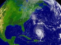 Apa Hewan Pertama yang Ada di Bumi? Ahli Ajukan 2 Dugaan