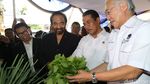 Mentan dan Mendag Hadiri Rakernas Petani NasDem