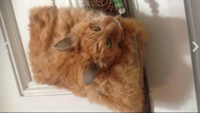 Dibuat dari kucing mati, tas di Selandia Baru menuai untung dan kontroversi