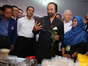 Soal Usulan Verifikasi Partai Lama, Surya Paloh: NasDem Siap