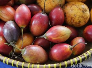 Jus Tamarillo Khas Mamasa yang Segar dan Kaya Manfaat