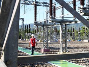PLN Buka Lowongan Untuk 1.254 Orang, Ini yang Paling Dicari
