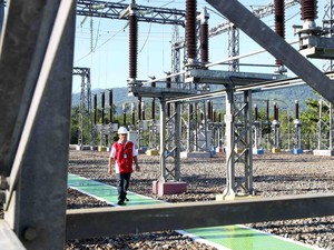 PLN Buka Lowongan Untuk 1.254 Orang, Ini yang Paling Dicari