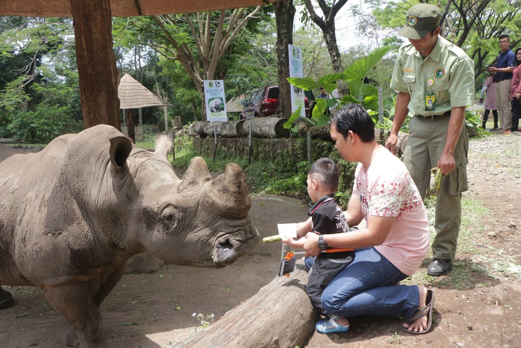 (Muhajir Arifin/detikTravel)