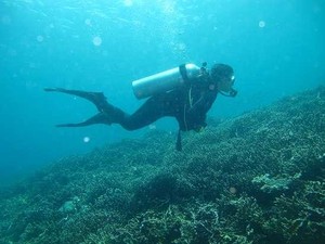Orang Singapura-Malaysia Jatuh Cinta kepada Labuan Bajo