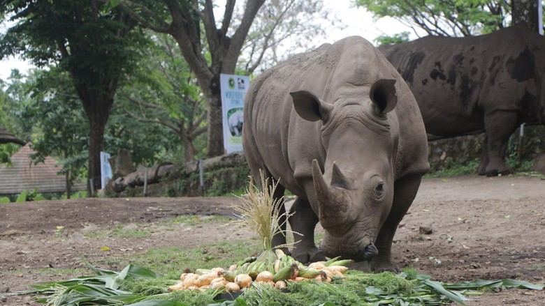 Foto: (Muhajir Arifin/detikTravel) Foto: (Muhajir Arifin/detikTravel)