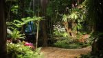 Seperti Hutan, Tahunya Restoran di Chiang Mai