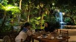 Seperti Hutan, Tahunya Restoran di Chiang Mai