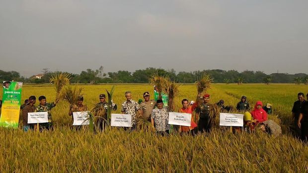 Warga mengeluhkan kepada Ganjar tentang beras raskin yang kualitasnya buruk. (Foto: Angling/detikcom)