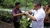 Desa Wisata Pentingsari adalah salah satu Desa Wisata yang memiliki daya tarik khas yang terdapat di Desa Umbulharjo Kecamatan Cangkringan Kabupaten Sleman Daerah Istimewa Yogyakarta.