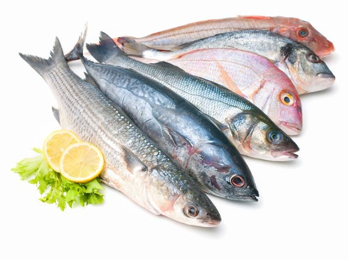 Amankah Memakan Ikan Kemasan Kaleng Setiap Hari?