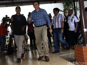 Ahok Ingin Pejabat Eselon DKI Jalani Tes Rambut