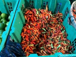 Ini Pemicu Harga Cabai Rawit Merah Melonjak Hingga Rp 90.000/Kg