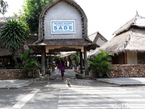 Lantai Rumah Suku Sasak Dilumuri Kotoran Kerbau, Ampuh Usir Nyamuk!