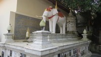 Patung gajah putih ini menyimpan kisah ajaib soal pembangunan vihara ini pada tahun 1383. Gajah ini konon membawa tulang Buddha dan mati di bukit ini (Fitraya/detikTravel)