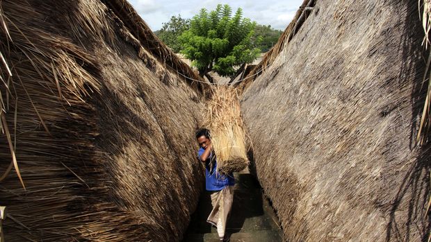Rumah Dusun Sasak Sade Desa Sade Lombok Tengah merupakan sebuah desa yang dihuni oleh masyarakat asli Suku Sasak Lombok, NTB. Sekitar 150 kepala keluarga tinggal di Dusun Sade Sasak.