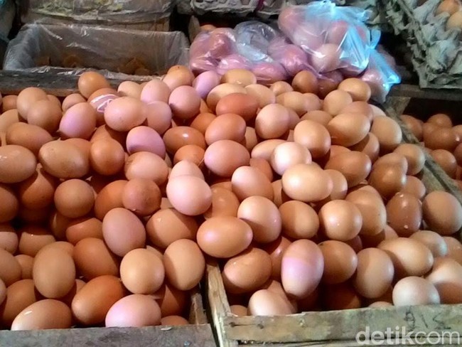 Kalau Mau Beli Telur untuk Stok Kebutuhan Puasa, Perhatikan Hal Ini