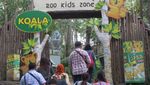 Ketika Panda Ada di Thailand