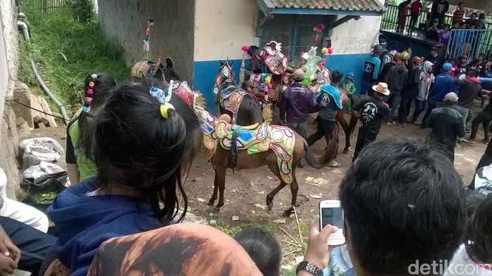 Atraksi Kuda Renggong: Warisan Budaya yang Mulai Ditinggalkan