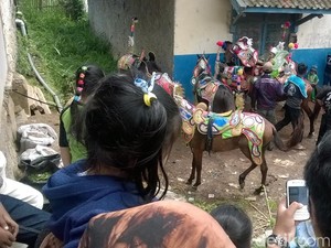 Atraksi Kuda Renggong: Warisan Budaya yang Mulai Ditinggalkan