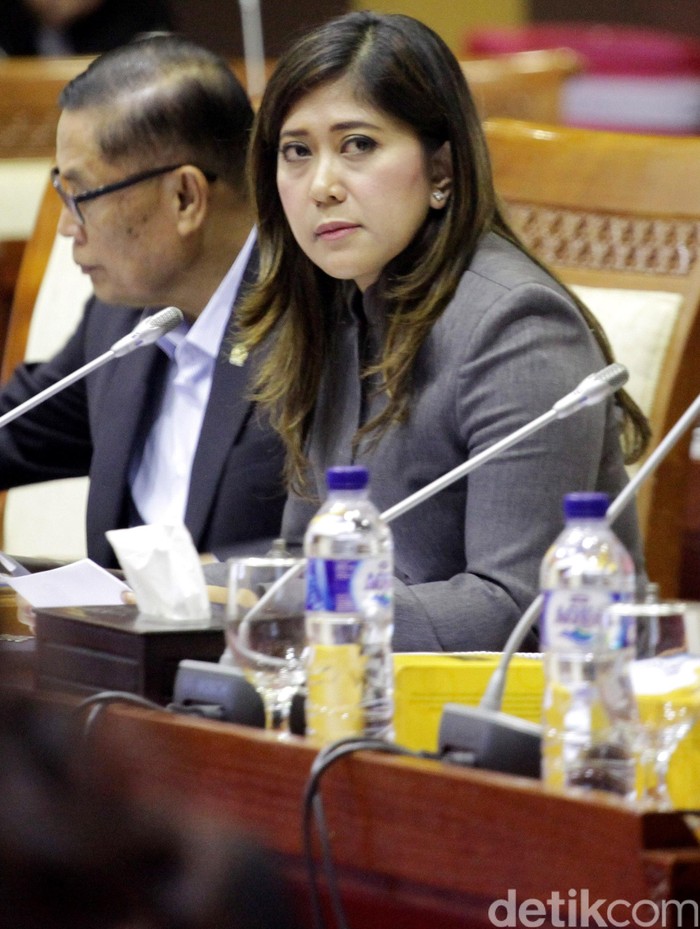 Meutya Hafid: RI-Arab Saudi Berperan Penting Wujudkan Perdamaian