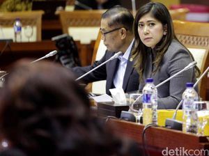 Waka Komisi I DPR Minta Polisi Tindak Tegas Pemilik Senpi Ilegal