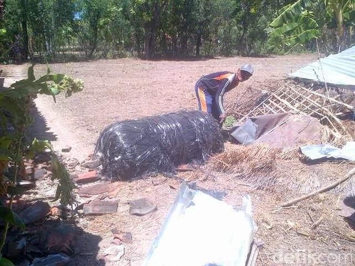 Benda Mirip Onderdil Terbakar, Kemenhub: Tak Ada Pesawat Jatuh di Sumenep