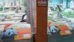 Ketika Panda Ada di Thailand