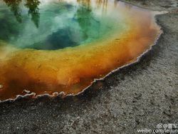 CEO Xiaomi Pamer Jepretan Dual Kamera Mi 5S