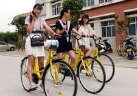 perusahaan ofo korea