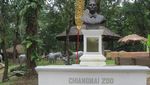 Ketika Panda Ada di Thailand