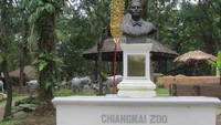 Foto: Chiang Mai Zoo adalah kebun binatang terbaik di Thailand yang buka sejak 1957.  Kebun binatang ini ada pinggir kota dengan kontur perbukitan hijau dari Gunung Doi Suthep yang sejuk (Fitraya/detikTravel)