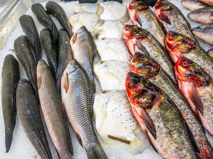 tips memilih ikan segar tips memilih ikan segar