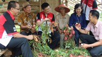 Soejanto Soetjijo, Direktur Retail Bank Sinarmas (ke-3 dari kiri) bersama Phiong Diman Purnama, Direktur Utama PT. JIT Investama Harapansukses (ke-2dari kiri) dan Sisilia The, Direktur PT. JIT Investama Harapansukses (kedua dari kanan) melakukan peninjauan lahan ubi jalar di Desa Cijambe Cibaregbeg Cibeber, Cianjur. Pool/dok. Sinarmas.