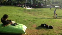 Taman Scientia bukan cuma ruang terbuka hijau, tetapi juga wahana menarik seperti wall climbing, skate park sampai ayunan besar yang asyik (Shinta/detikcom)