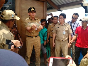 Saat Tangan Ahok Terluka Dihajar Ikan di Kepulauan Seribu