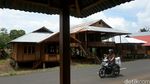 Mengintip Pembuatan Rumah Panggung Minahasa